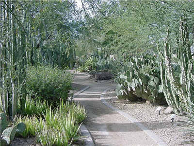 Glendale Xeriscape Demonstration Garden